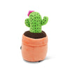 FREE HUGS CACTUS