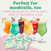 CLASSIC MARGARITA SINGLE MIX