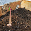 POLLINATOR SEED POPS