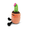 FREE HUGS CACTUS