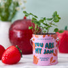 COMPLIMENT COLOR GROW KITS