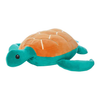 SALTY SEA TURTLE