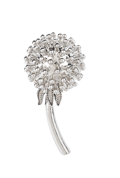 POSSIBILITIES DANDELION TOKEN