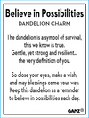 POSSIBILITIES DANDELION TOKEN