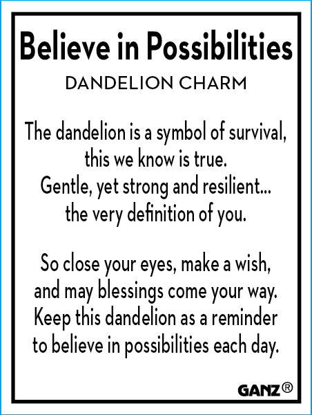 POSSIBILITIES DANDELION TOKEN