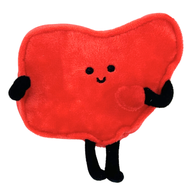 OHIO PLUSH MAGNET