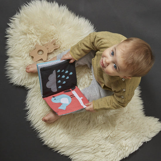 SOFT BOOK & TEETHER SET