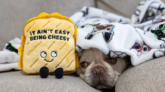 IT AINT EASY BEING CHEESY