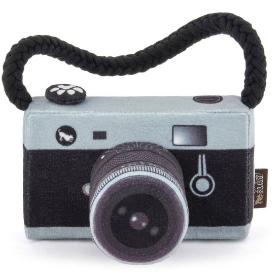 CAMERA DOG TOY