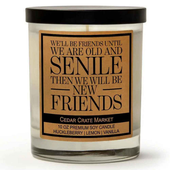 WE'LL BE FRIENDS
