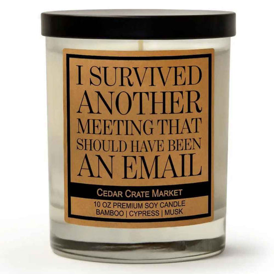 SURVIVED ANOTHER MEETING