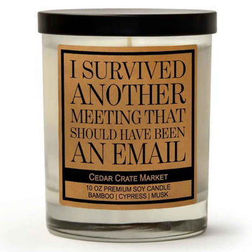 SURVIVED ANOTHER MEETING