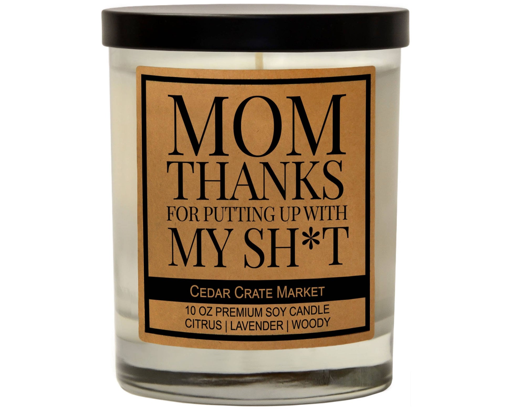 PUTTING UP WITH MY SHIT CANDLE
