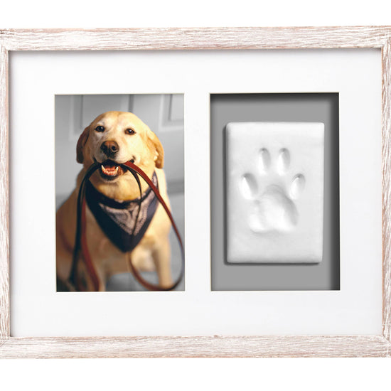 PAWPRINTS WALL FRAME