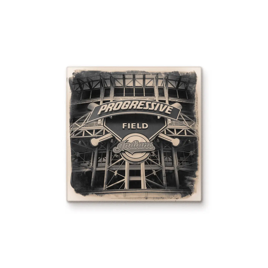 PROGRESSIVE FIELD COASTER